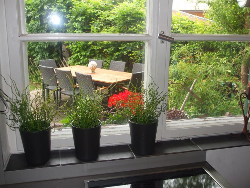 Ferienwohnung Alpensonne اوبرستدورف المظهر الخارجي الصورة
